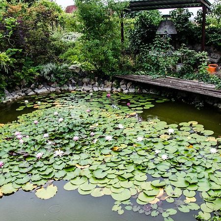 Pigal Panzio Bed & Breakfast Badacsonyörs Екстериор снимка
